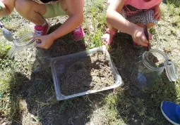 Servizi estivi bambini e ragazzi